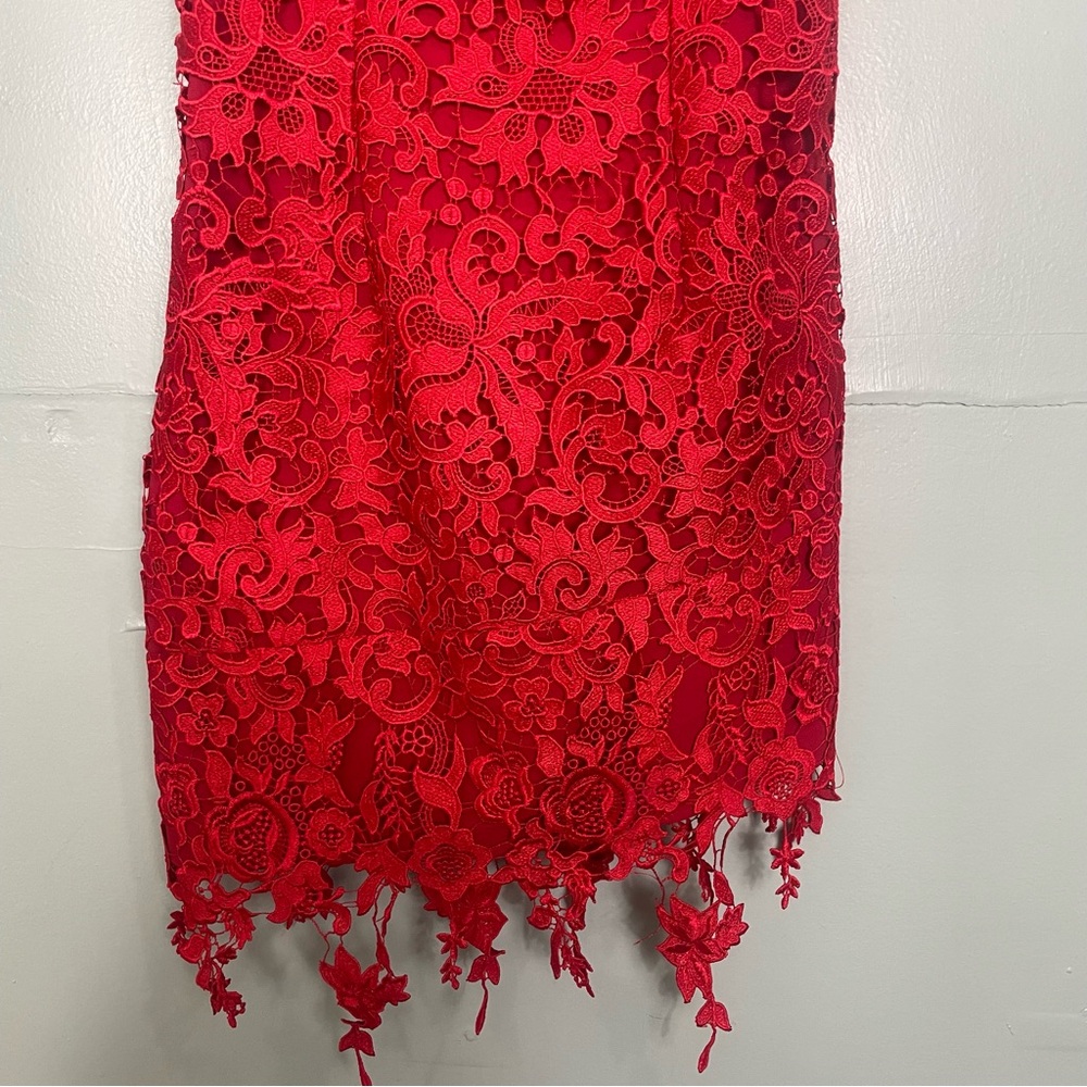 Revolve NBD Yosemite Mini Dress in Red Cherry Laced Floral Lined Size Small - Picture 5 of 10
